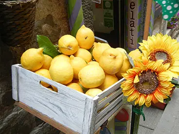 A wooden crate filled with lemons next to a sunflower.