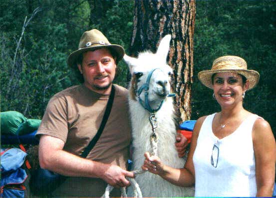 A man and woman standing next to a llama.