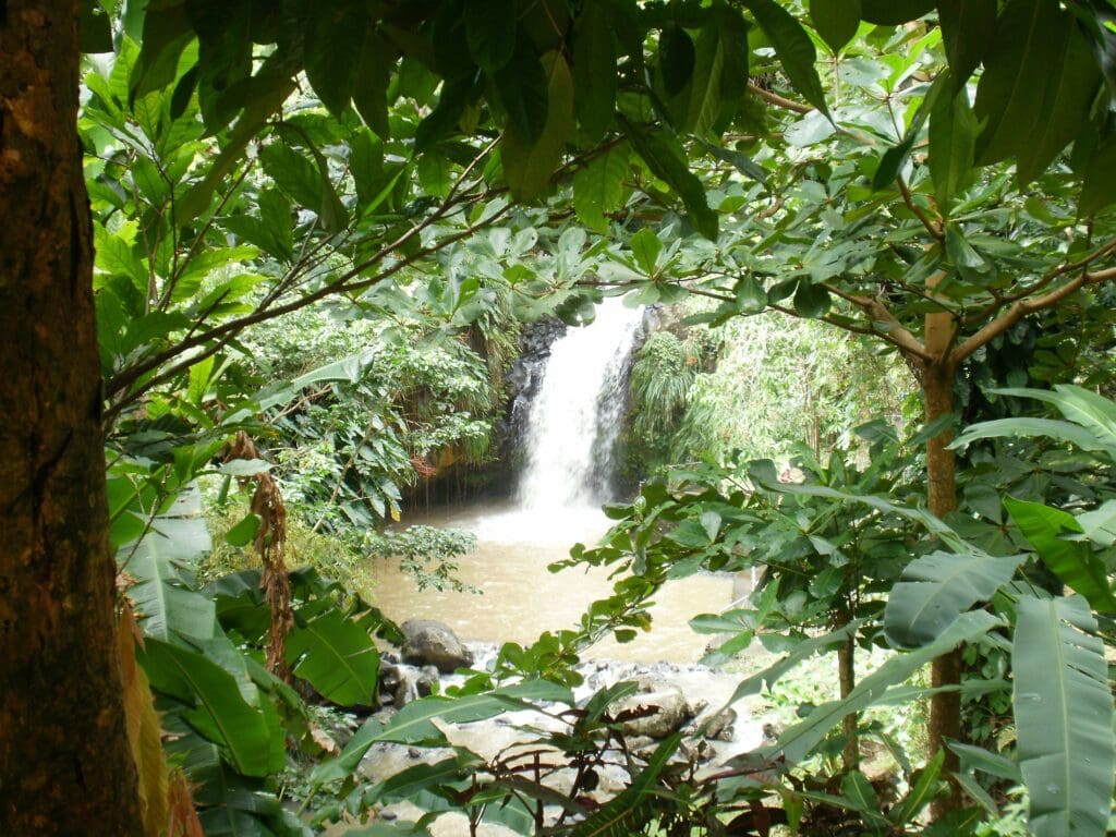 Grenada. (Stock Photo.)