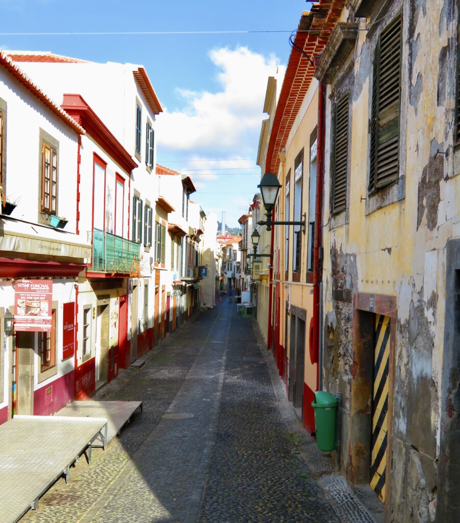 The Portals of Porto