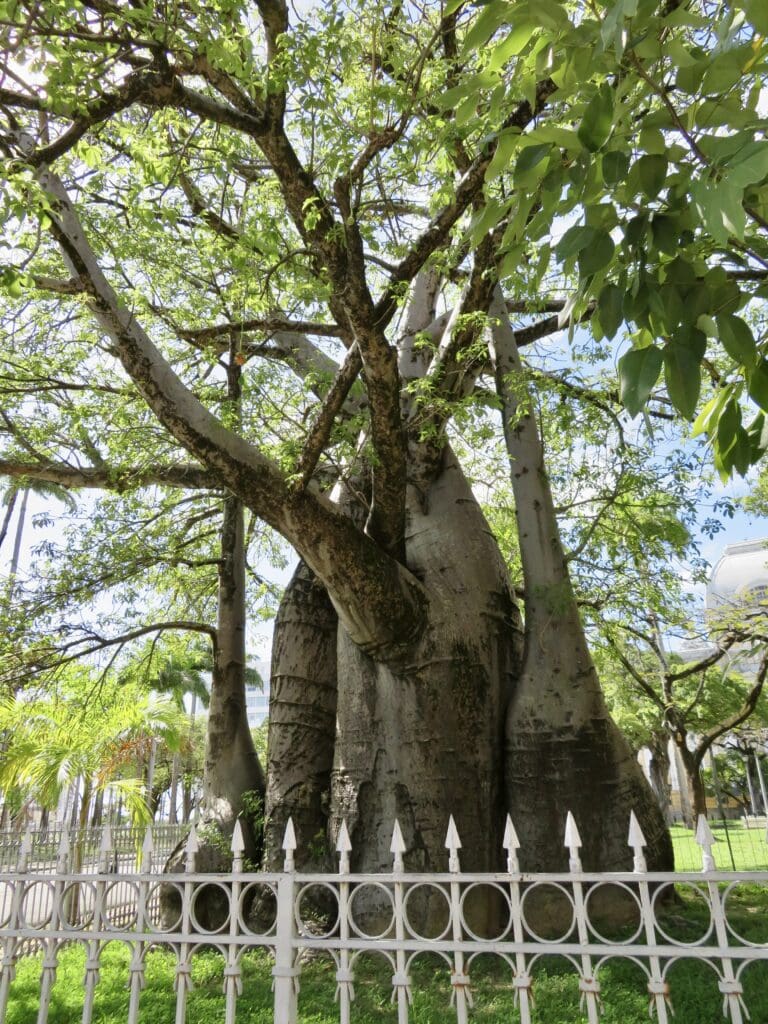 Recife, Brazil